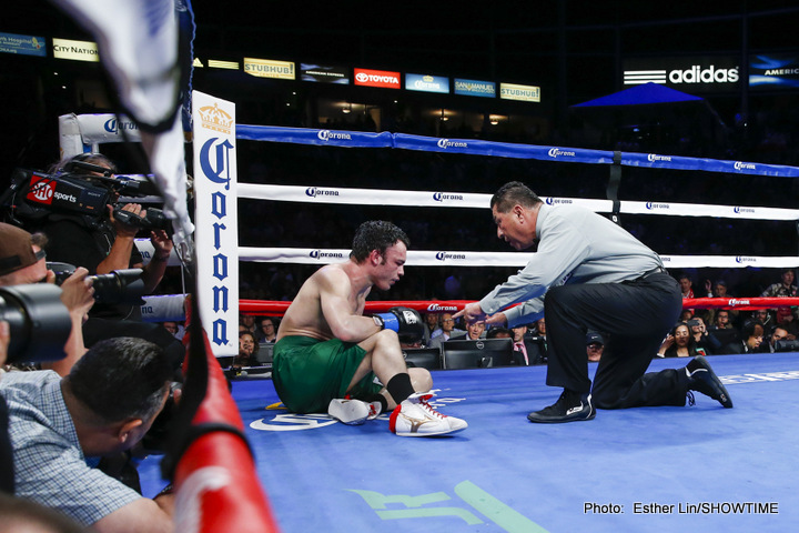 Julio Cesar Chavez Jr vs Andrzej Fonfara