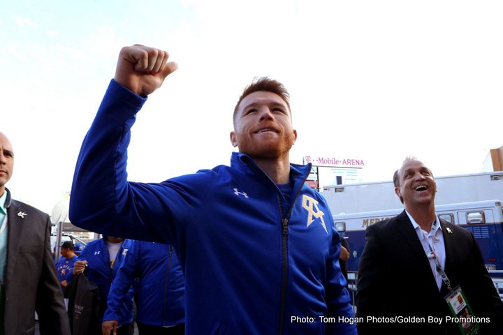 Image: Canelo Alvarez defeats Chavez Jr. in mismatch