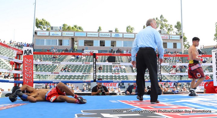 Image: Miguel Cotto vs. Yoshihiro Kamegai - Results