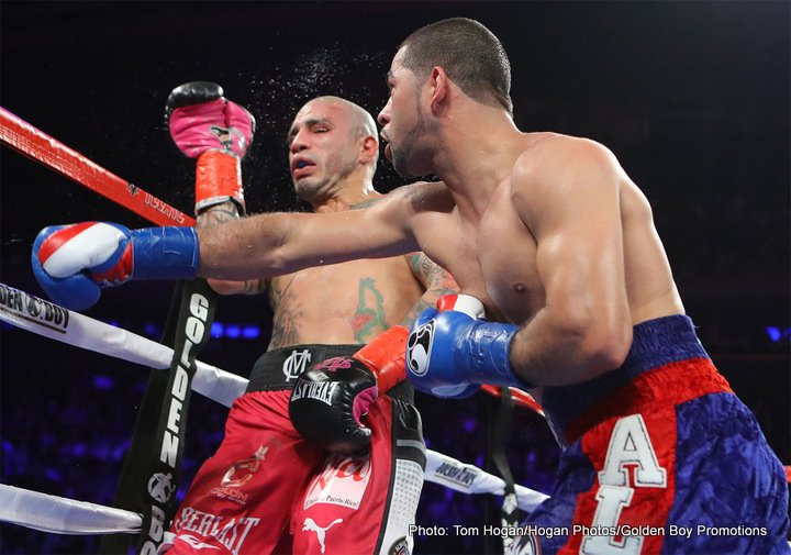 Cotto vs. Ali boxing photo