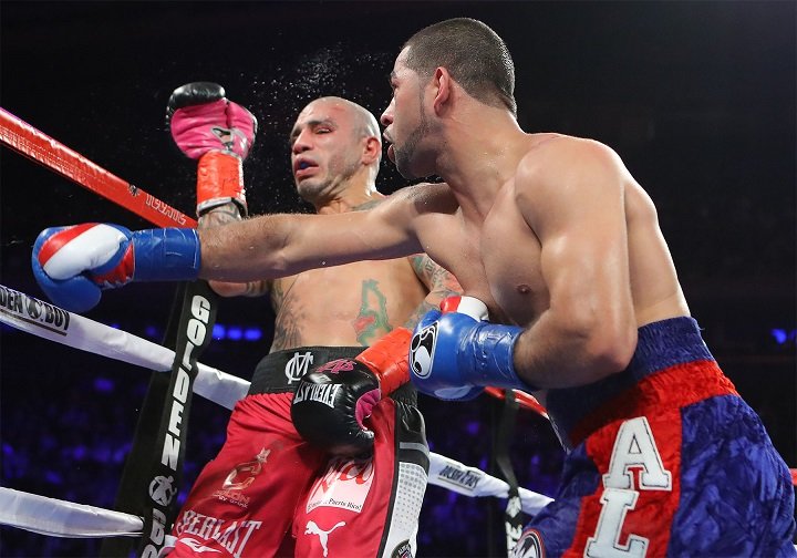 Cotto vs. Ali boxing photo