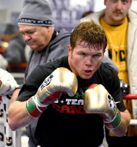 Image: De La Hoya: Saul Alvarez will look better against Mosley than Mayweather and Pacquiao did