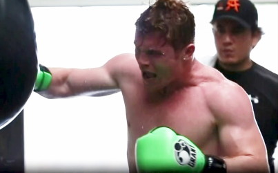 canelo77