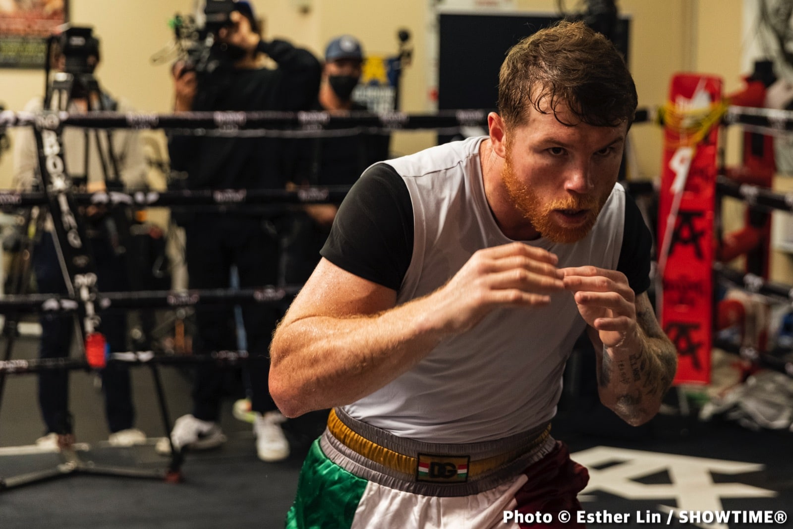 Canelo Alvarez, David Benavidez boxing photo and news image