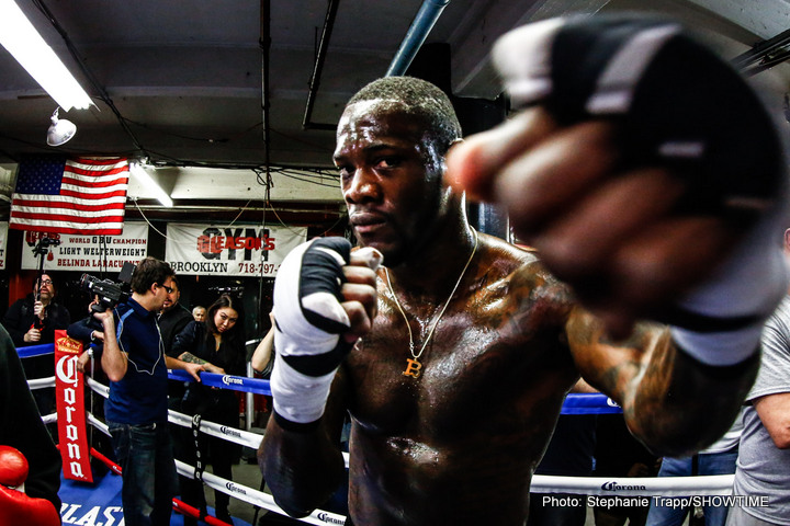 1-DEONTAY WILDER-MEDIA WORKOUT-01122015-9283