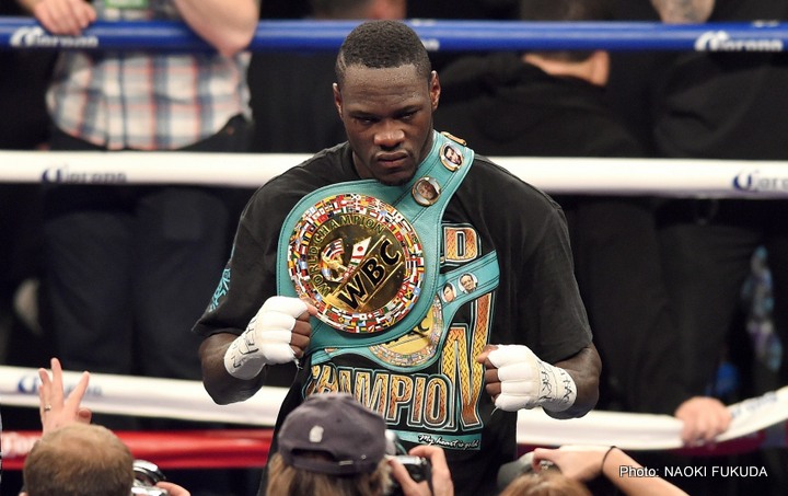 1-deontay-wilder (11)