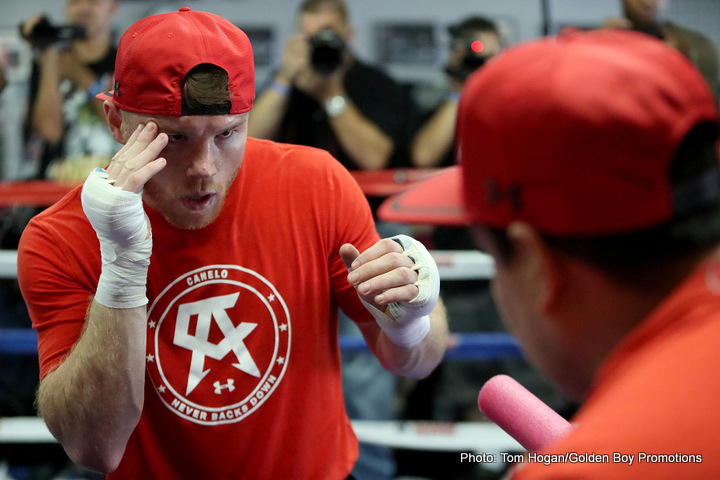 Image: Canelo in training camp, showing speed for Chavez Jr. fight