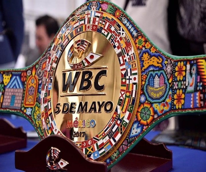 Image: WBC creates belt for Canelo vs. Chavez Jr. fight