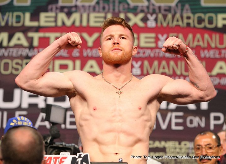 Image: Roach: Canelo beats Chavez Jr. and possibly GGG