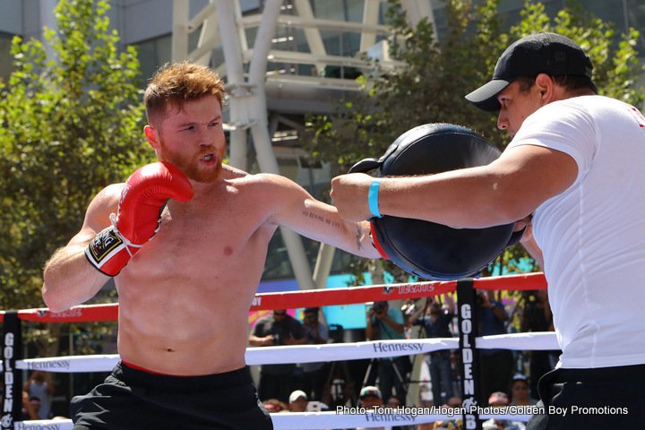 Image: De La Hoya: McGregor would last 1 round with Canelo