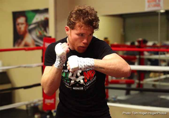 Image: Canelo has blueprint to beat Golovkin