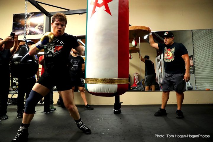 Image: Canelo-GGG II: Alvarez’s reduced muscle mass leaves him vulnerable