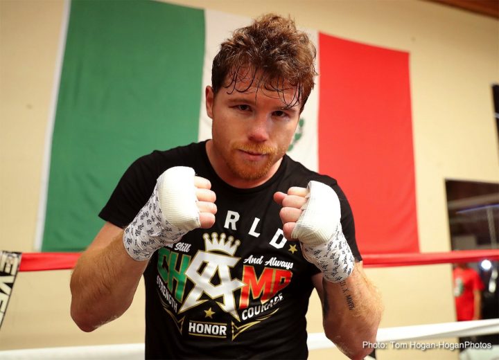 Image: Canelo: “Golovkin’s power is nothing out of this world”