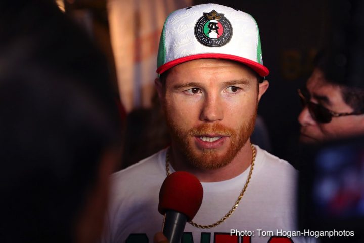 Image: Canelo to use same glove brand as first fight with GGG
