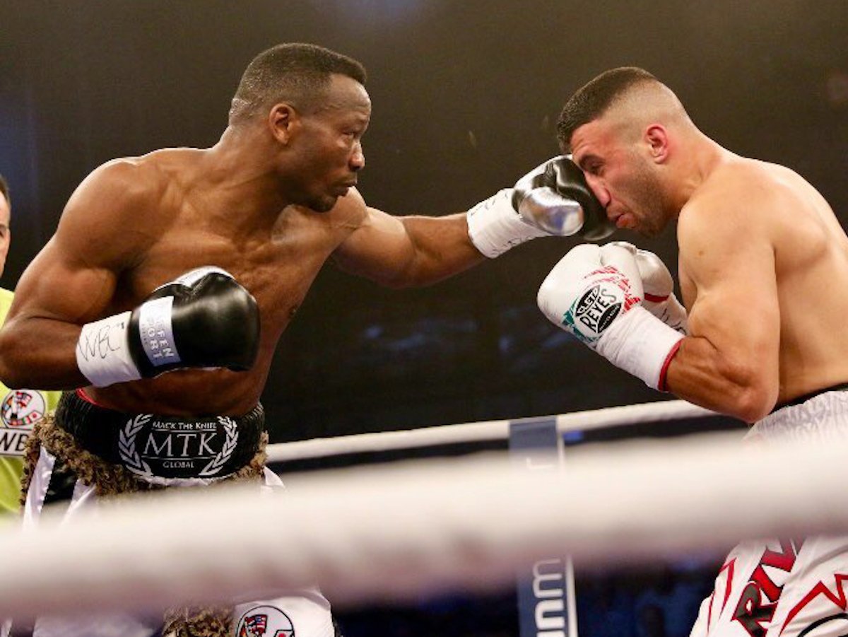 18 мая бокс. Lolenga Mock Boxer. Lolenga Mock