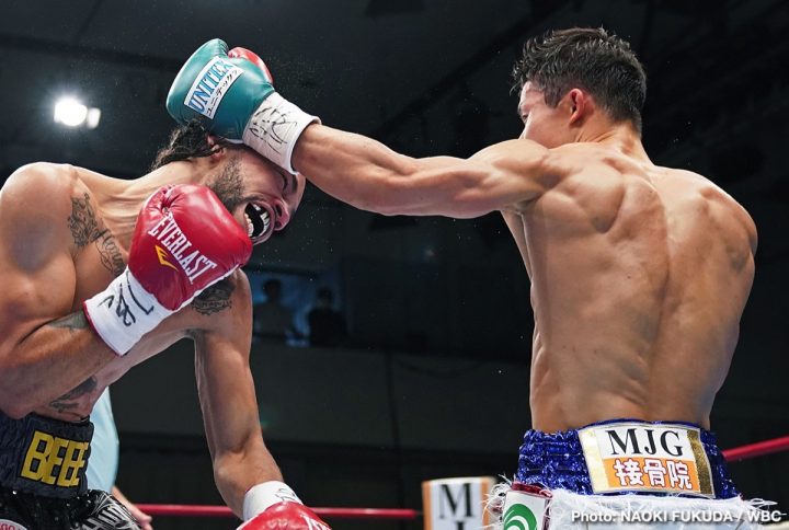 Image: Tomoki Kameda defeats Medina to take vacant WBC interim junior featherweight title