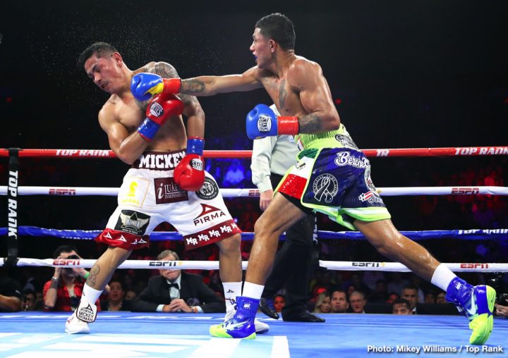 Image: Miguel Berchelt stops Miguel 'Mickey' Roman - RESULTS