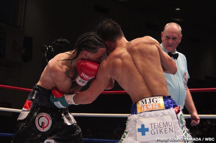 Image: Tomoki Kameda defeats Medina to take vacant WBC interim junior featherweight title