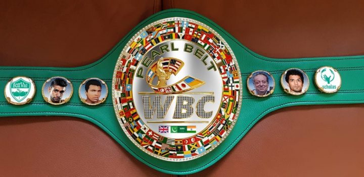 Image: Amir Khan and Neeraj Goyat will have WBC Pearl belt at stake on July 12