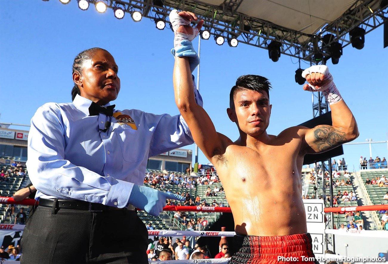 boxing results nz