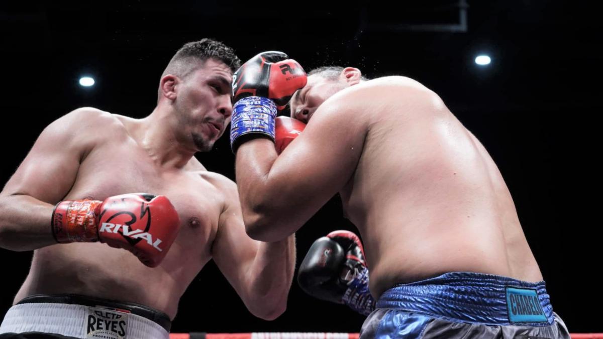 Image: Boxing results from the weekend: Alexander Flores, Leon Bauer, David Papot