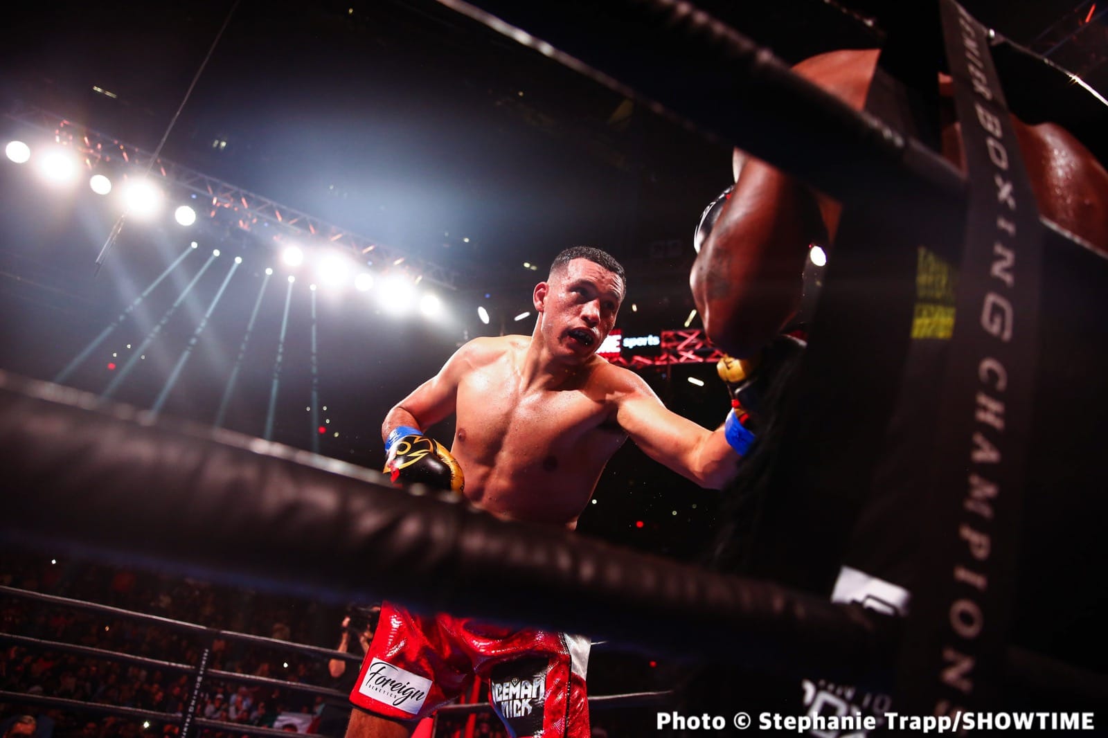 Caleb Plant, David Benavidez boxing photo and news image