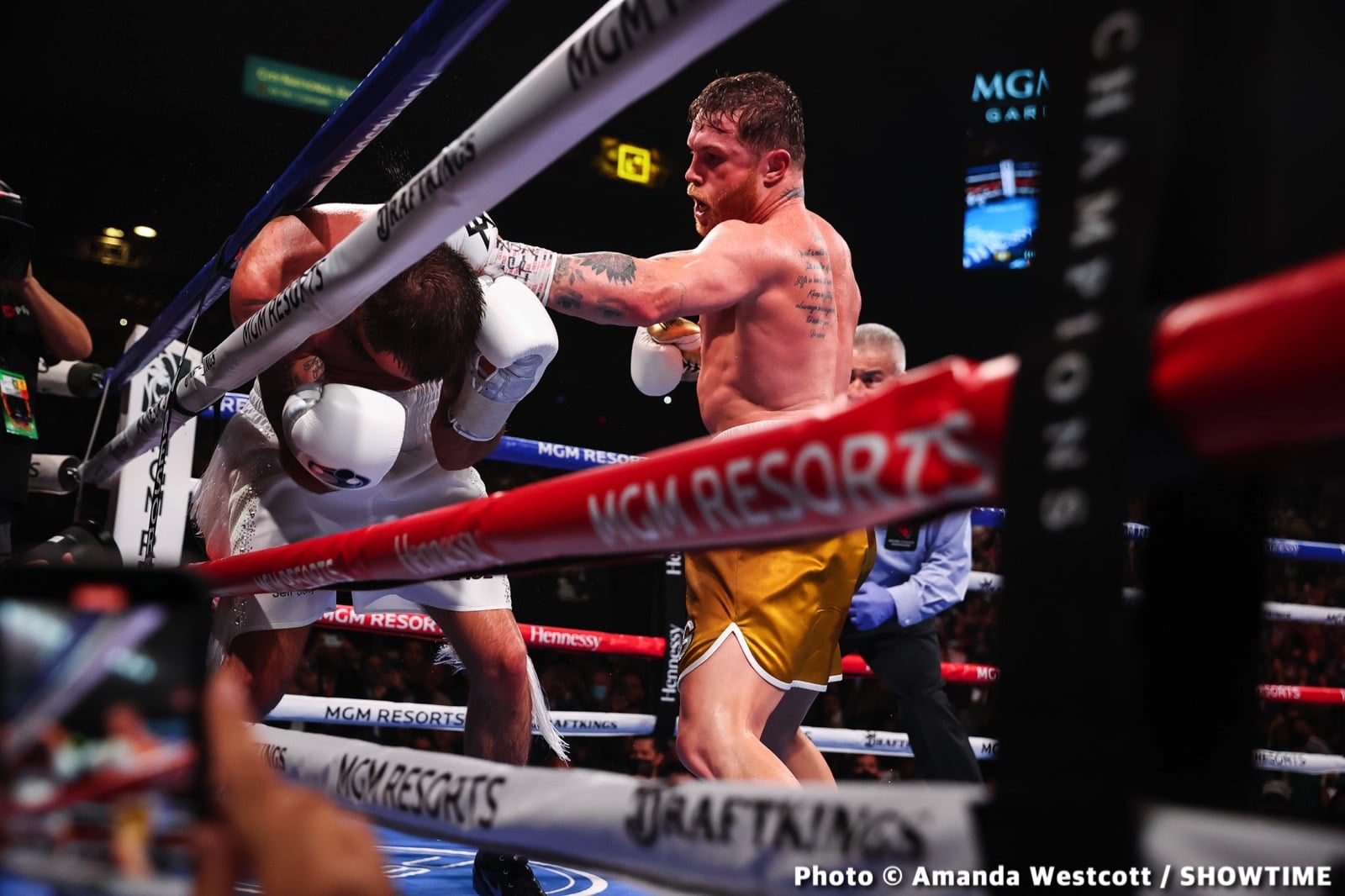Boxing news and photos Canelo Alvarez, Jermall Charlo, Mike Tyson