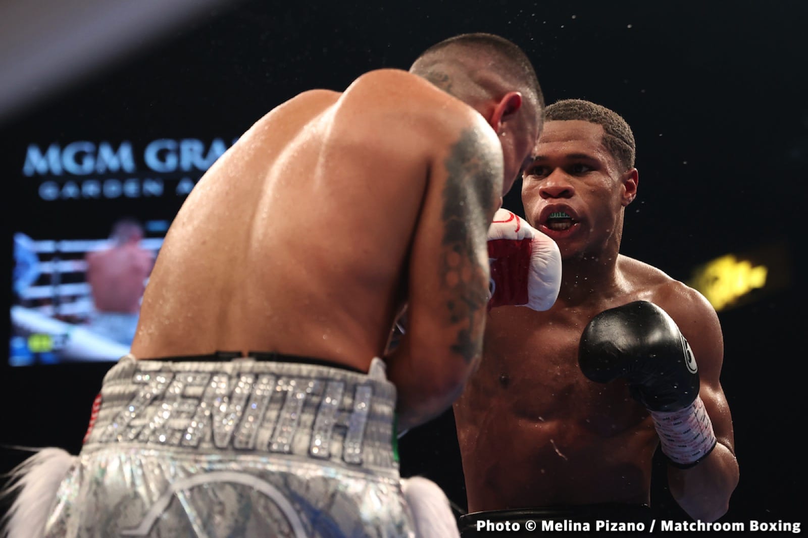 Picture of boxing Devin Haney, George Kambosos Jr