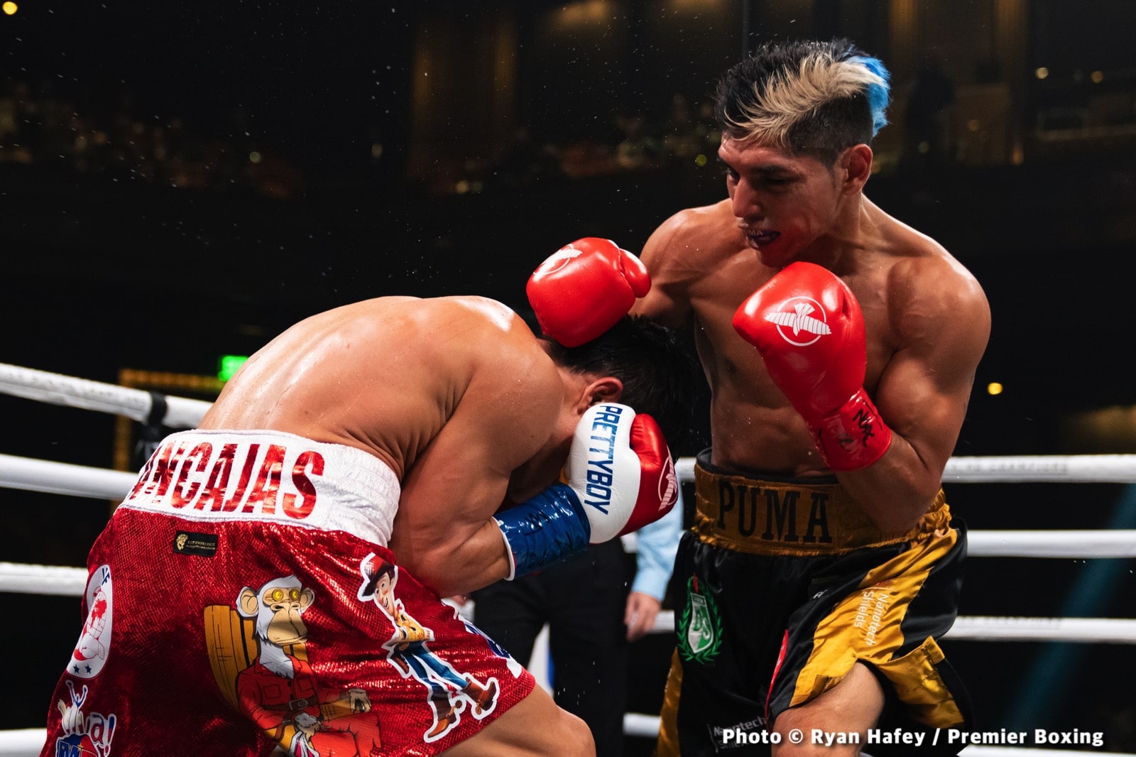 Image: Boxing Results: Fernando Martinez defeats Jerwin Ancajas!