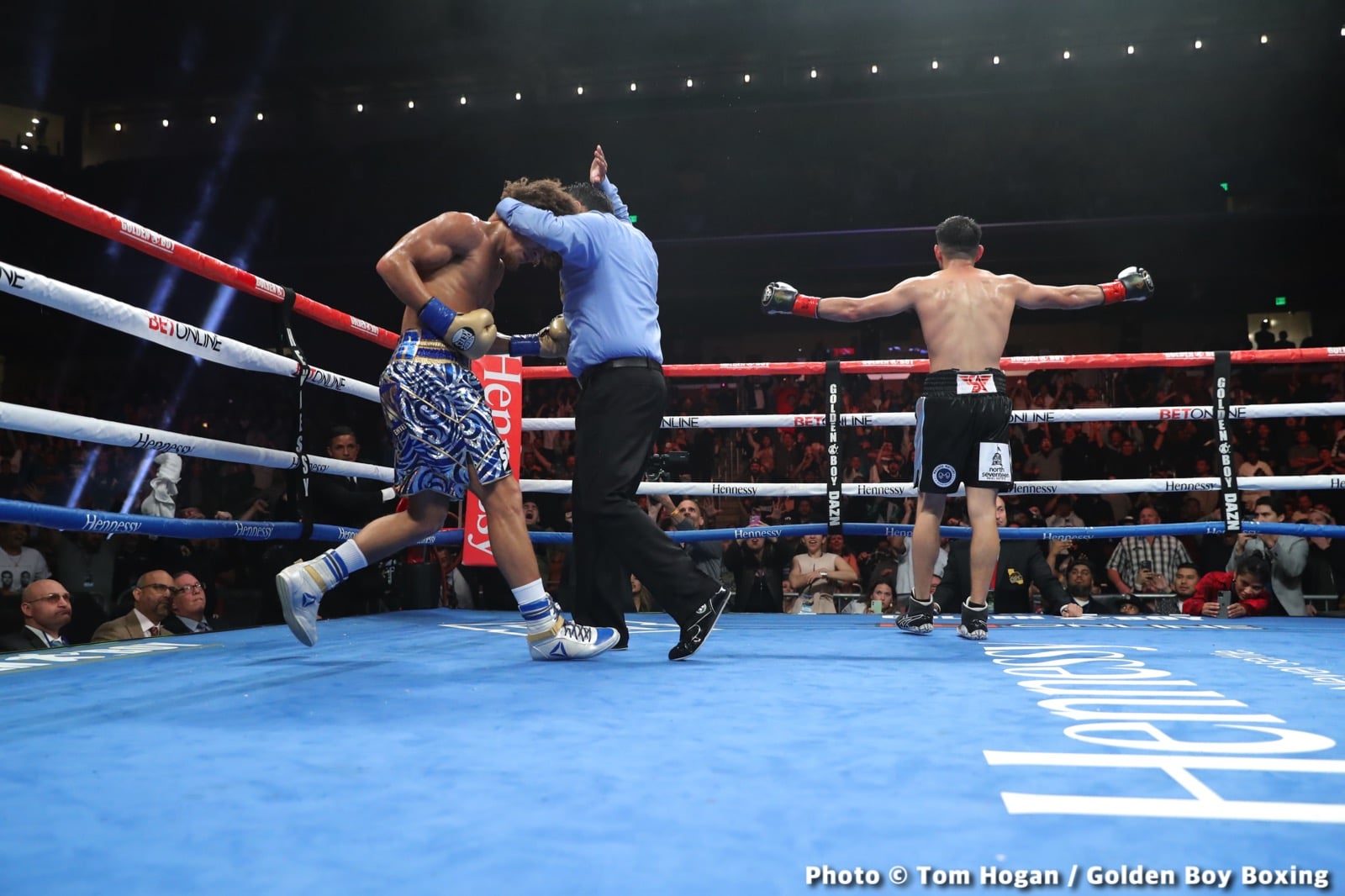 Image: Results / Photos: Alexis Rocha stops Cobbs in 9th & McKinson decisions Martin