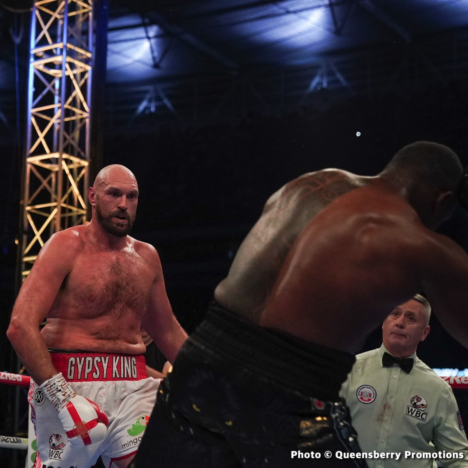 Image: Fury RETIRING after stopping Whyte in 6th