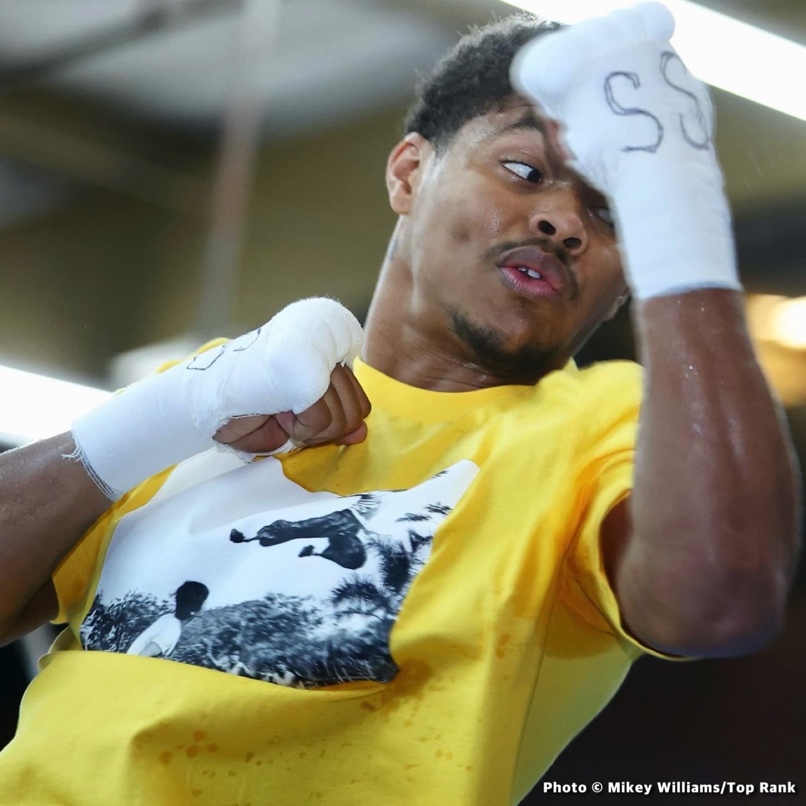 Image: Tim Bradley picks Shakur Stevenson to beat Oscar Valdez