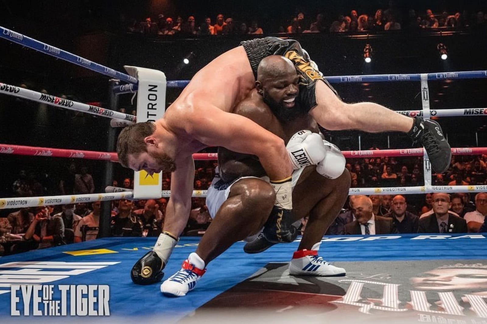 Image: Boxing Results: Takam Gives Makhmudov Fits In Montreal Thriller