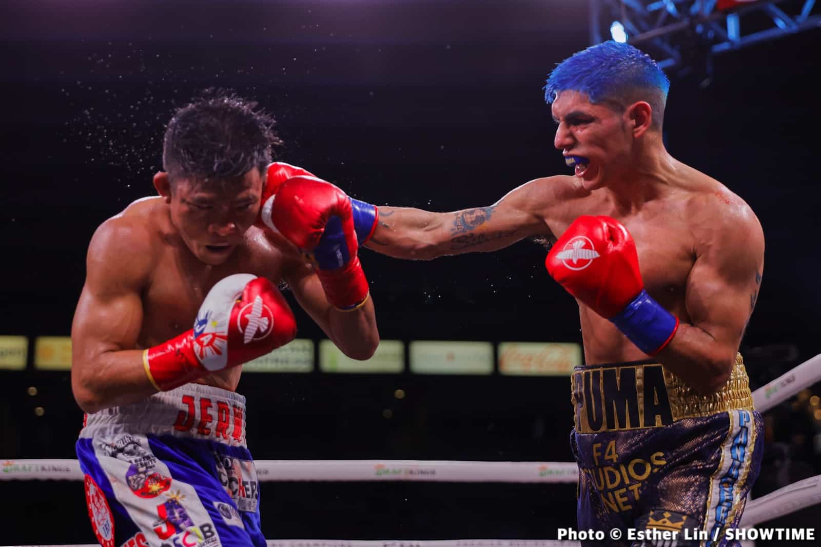 Image: Boxing Results: Fernando Martinez defeats Jerwin Ancajas