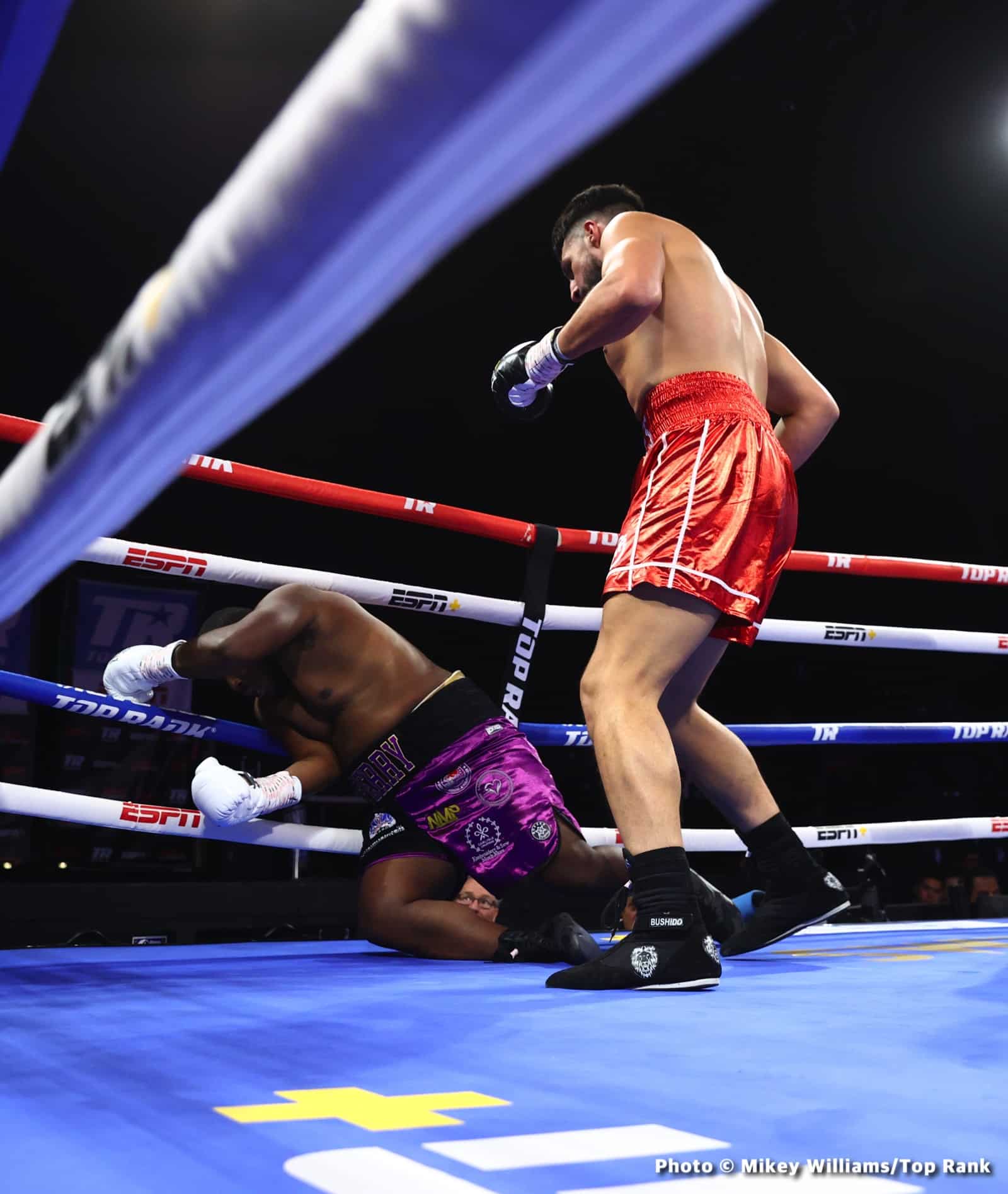 Image: Results / Photos: Alimkhanuly Defeats Bentley to Retain Middleweight Title