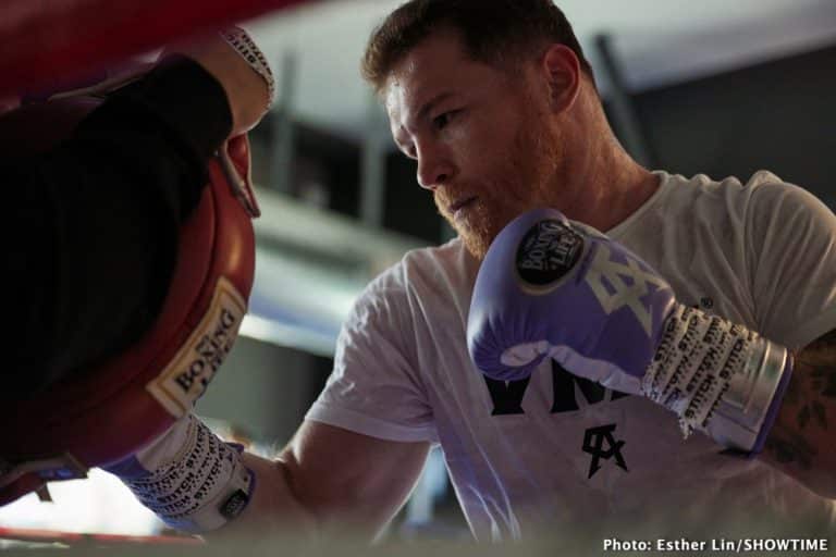 Image: Canelo Alvarez wants to prove he's not washed up against Jermell