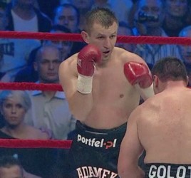 Image: Adamek vs. Klitschko: Tomasz has to fight like a wild animal to win