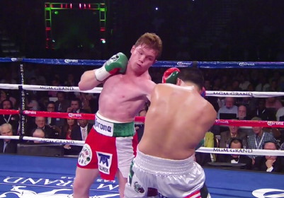 canelo44