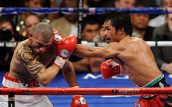 cotto2