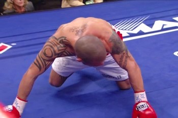 cotto27