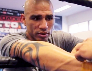 cotto55