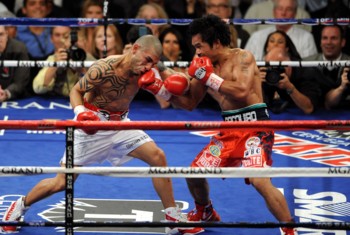 cotto6