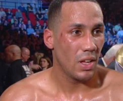 degale434233