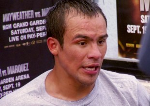 marquez66779