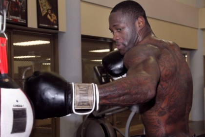 wilder6